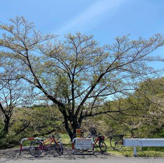 週末の風景☀︎
.
よく晴れたこの日
全力で走りボールを追いかけ
サッカーを楽しむ子供達の声⚾︎
.
.
そして富士見台分譲地では
地鎮祭も執り行われました。
.
.
四季薫る街で
素敵な家づくりが始まります。
.
ロングライフカンパニー
living D 第一建設は不動産・賃貸・新築・リノベ・インテリアのプロフェッショナル集団。
.
.
知りたい事、ご相談も家にいながら
相談できるLINEやZOOMも対応可能。
@livingd_works_daiichikensetsu .
直接会うのは緊張しますよね。
私達が対応しますのでどうぞ
お気軽に☝︎ご利用くださいね☺︎☺︎
.
#空
#春
#ある日
#日曜日の朝 
#おうち時間
#おうち時間を楽しむ 
#マイホーム計画 
#不動産
#賃貸
#新築
#リフォーム
#リノベーション
#インテリア
#保険
#プロ
#プロフェッショナル
#チーム
#私達にできること 
#暮らしの提案
#五感に響く 
#トリプル樹脂サッシ 
#未来性能の家
#heat20 よく晴れたこの日
全力で走りボールを追いかけ
サッカーを楽しむ子供達の声⚾︎
.
.
そして富士見台分譲地では
地鎮祭も執り行われました。
.
.
四季薫る街で
素敵な家づくりが始まります。
.
ロングライフカンパニー
living D 第一建設は不動産・賃貸・新築・リノベ・インテリアのプロフェッショナル集団。
.
.
知りたい事、ご相談も家にいながら
相談できるLINEやZOOMも対応可能。
@livingd_works_daiichikensetsu .
直接会うのは緊張しますよね。
私達が対応しますのでどうぞ
お気軽に☝︎ご利用くださいね☺︎☺︎
.

#富士市
#沼津市
#静岡市
#藤枝市
#富士宮市