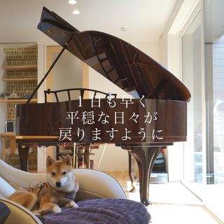 ・
グランドピアノのあるLDK。
#沼津市岡宮　リビングにグランドピアノのある家

@livingd_works_daiichikensetsu ・
・
#第一建設 #アルタナカフェ 
#hibiki #静岡 
#グランドピアノ #ピアノ 
#音楽好きな人と繋がりたい 
#わんこ #犬 #ペット 
#リビング  #音楽 
#hibikipremium 
#住宅 #マイホーム計画 
#マイホーム計画中の人と繋がりたい 
#注文住宅  #新築 #新築一戸建て 
#一戸建て #戸建て 
#お家 #おうち #ldk 
#富士市 #富士宮市  #沼津市  #三島市

新モデルハウス公開中。 @besso_altana 
家具・インテリア 
@hanare_altana

カフェ 
@altana_cafe @home_cafe_xoxo 
@cafe_ldk