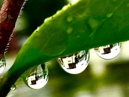 季節の変わり目