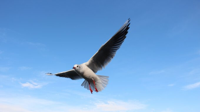 2021年の幕開け！【ﾘﾌｫｰﾑ・ﾘﾉﾍﾞ】