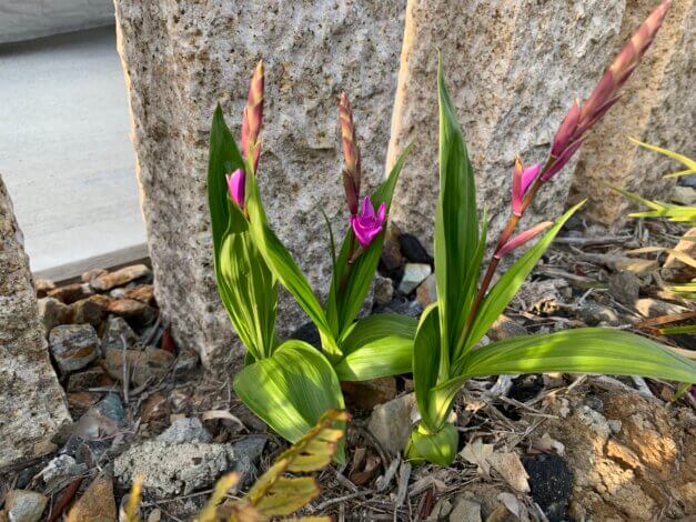 日々のこと　いろいろとご縁を感じる、心地よい休日でした【リフォーム・リノベ】