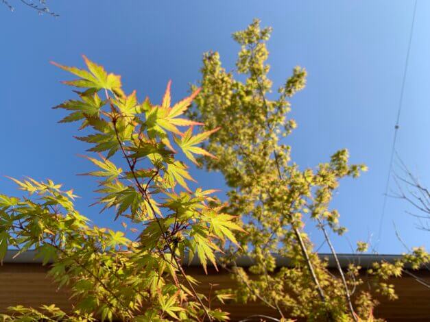 日々のこと　時には嬉し涙もいいよね。【リフォーム・リノベ】