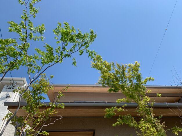 緑のアーチ【リフォーム・リノベ】