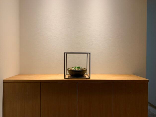 自宅に新しい植物が仲間入り♪【山本ブログ】