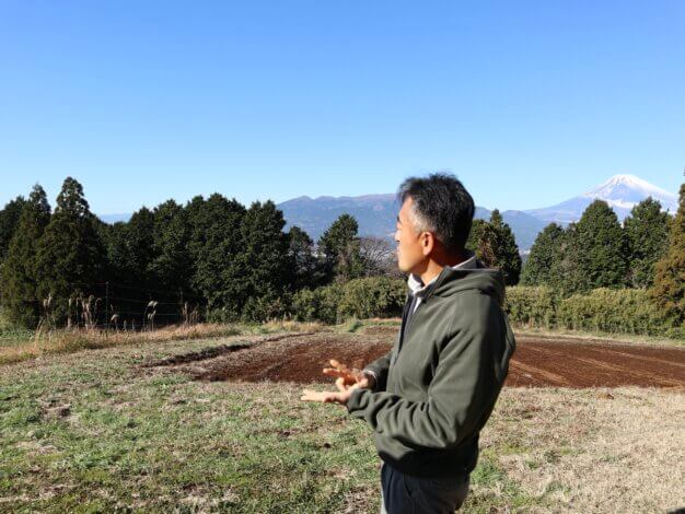 『三島箱根西麓で冬野菜を収穫。(静岡県三島市/フードカルチャー・ルネサンス)』