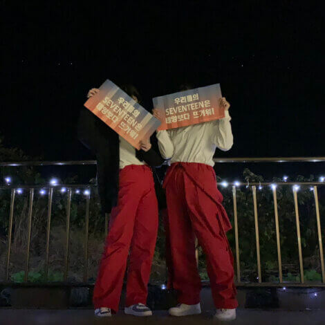 仕事も趣味も全力な一年【SEVENTEENのライブに行ってきました】