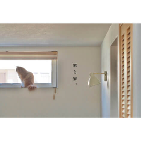 YKKAPの窓のCMにネコが採用されている理由