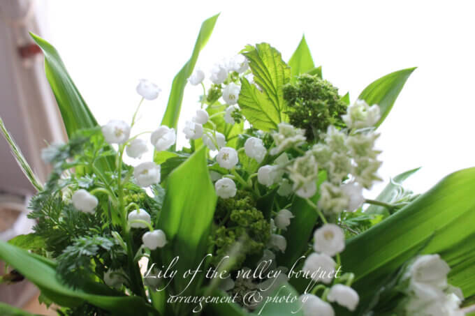 日々のこと　５月１日はスズランの日【山本ブログ】