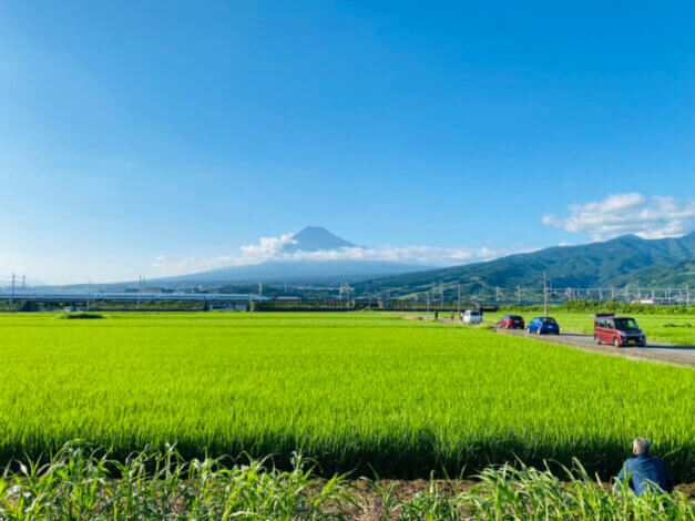 「ペッコリ妄想移住ランキング（日本テレビ）」にて「富士市移住」放送