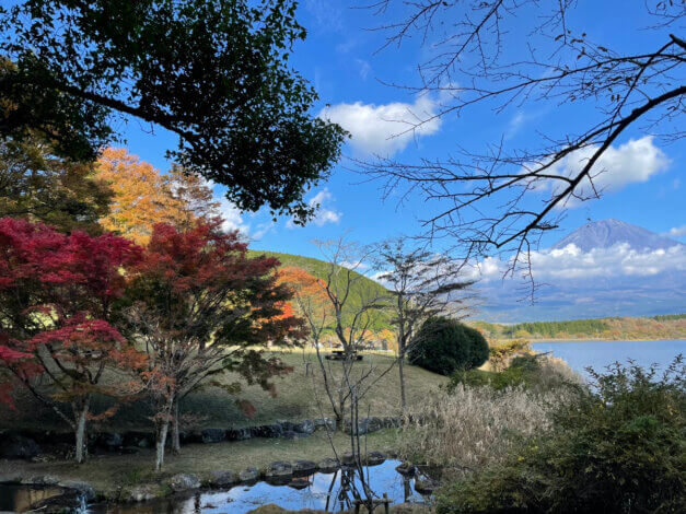 紅葉の時期を楽しみに🍂毎日富士山観察📷