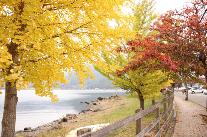 富士河口湖町紅葉まつり2023に行ってきました🍂