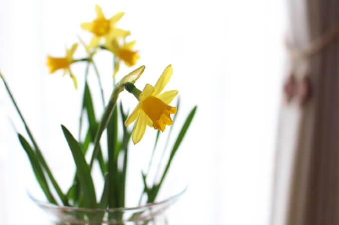 日々のこと。鬼とか焼きたてパンとか黄色い花とか・・・【山本ブログ】