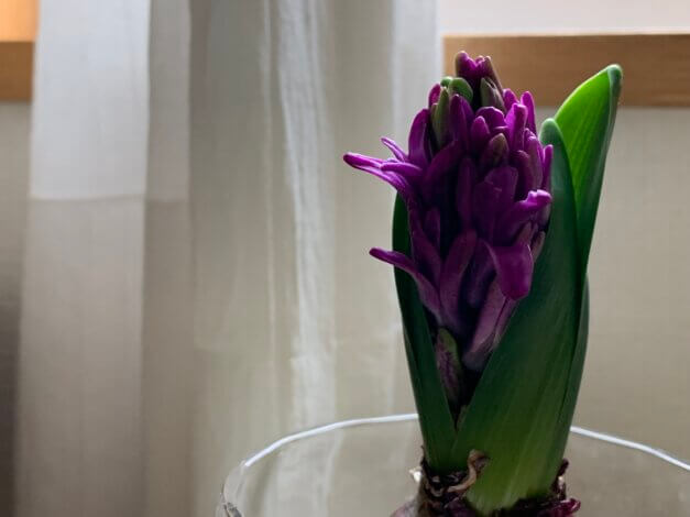 好きな色は、やっぱり気分が上がります【山本ブログ】