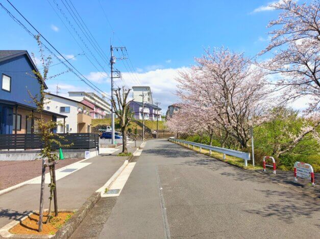 ★桜並木沿いの広い土地、住環境の良さで土地を選んでみませんか★