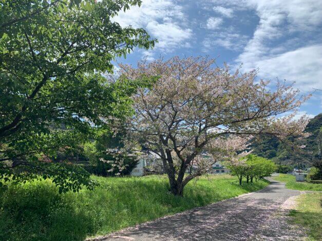 着工中のKIBACO 01-E12　リビングに繋がる和室がある住まい【山本ブログ】