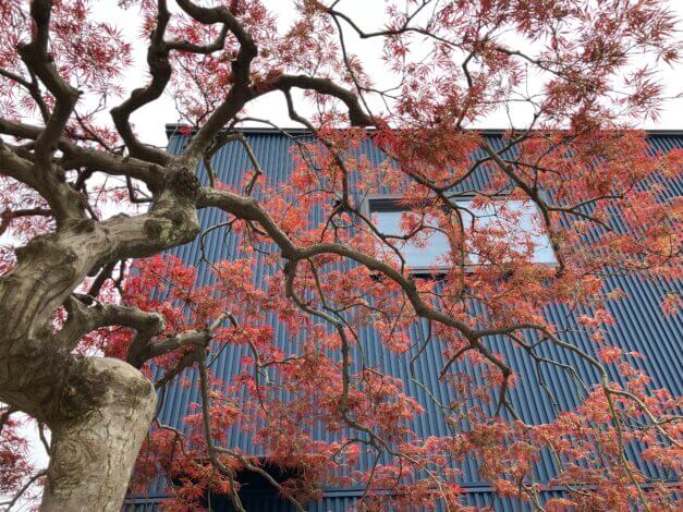 KIBACO見学会のお家　リビングに繋がる和室があるお家【山本ブログ】