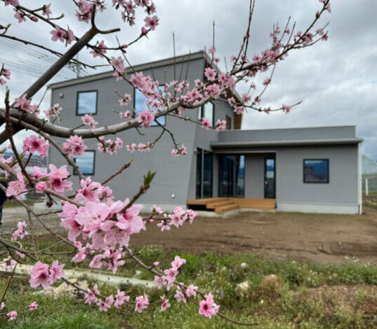 春をたくさん感じながら🌸見どころ盛りだくさんの甲州市見学会場のお家を見てきました👀