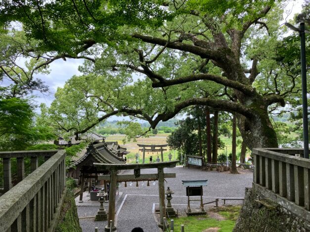 日々のこと　Vlog　ことのままに願いが叶う事任八幡宮【山本ブログ】