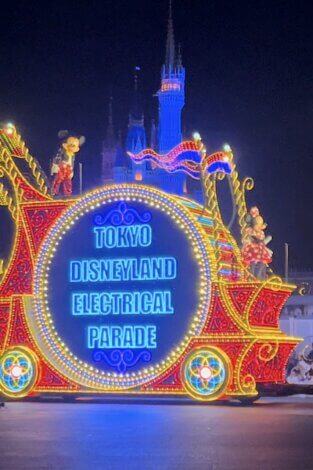 パパママ娘の『ディズニーランド』