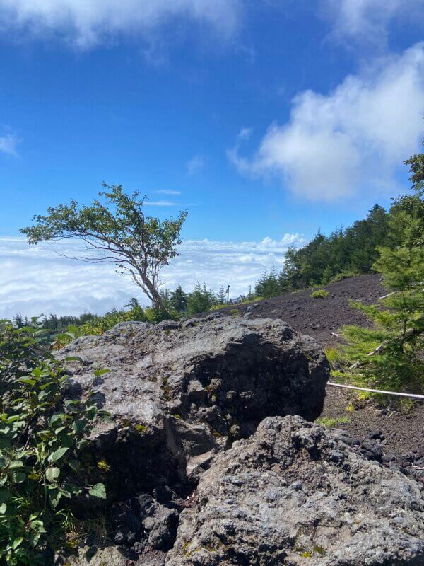富士宮口五合目静岡移住暮らし