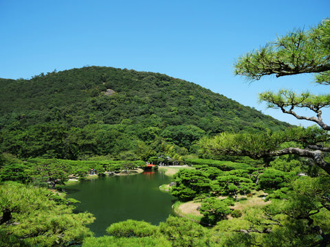 【樹木のヒトリゴト】2泊3日香川県の旅　part3