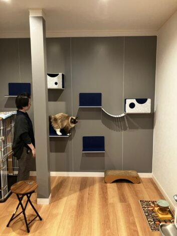 LIXILにゃんぺき設置で愛猫も喜ぶ改修工事♩【富士吉田支店リフォーム実例】