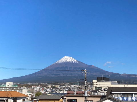 冬の楽しみ