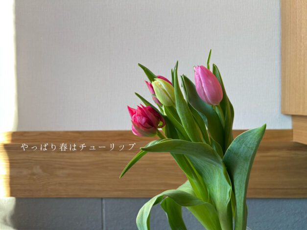 日々のこと　春はやっぱりチューリップ【山本ブログ】