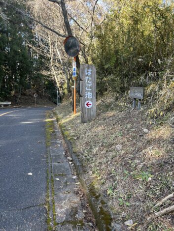 富士市北松野にあるはたご池～自然と遊び