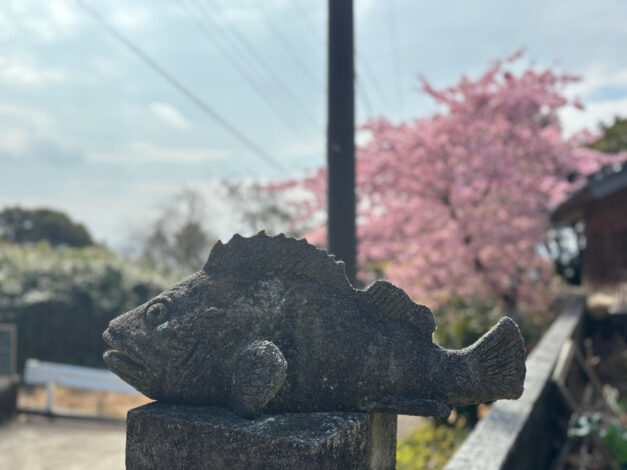 【樹木のヒトリゴト】河津桜とカサゴ