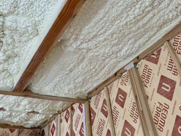 モコモコの正体【沼津支店】