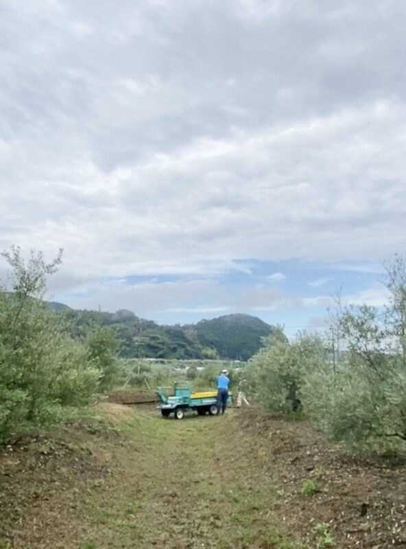 静岡移住藤枝暮らしスローライフ