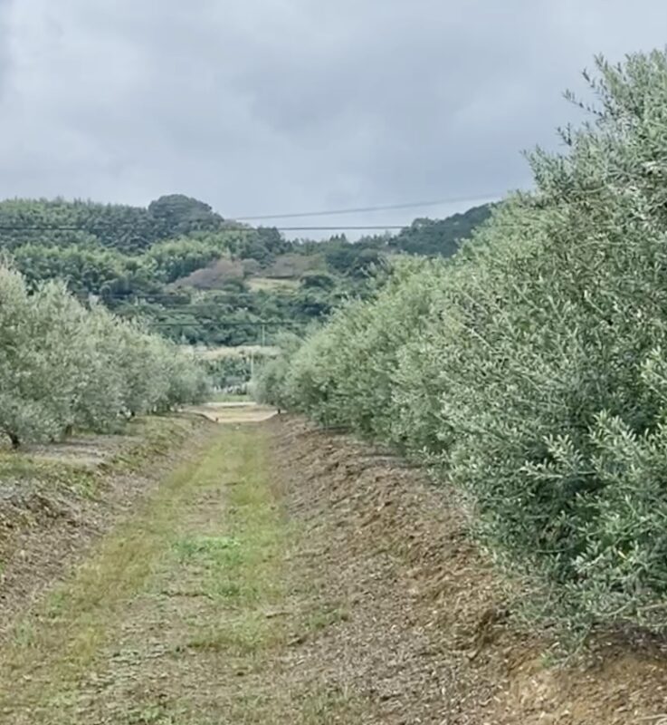 静岡移住藤枝暮らしスローライフ