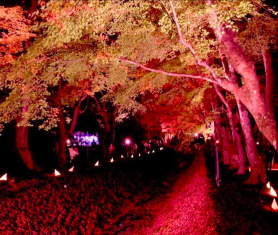 富士河口湖紅葉まつり開催中🍁