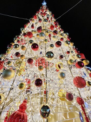 ルミスタ☆ふじえだ　『イルミネーション点灯式』