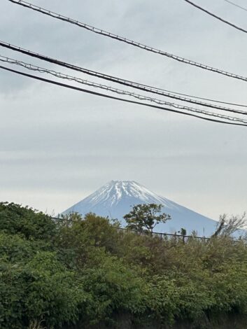日々のこと　富士山と紅葉とクリスマス【山本ブログ】