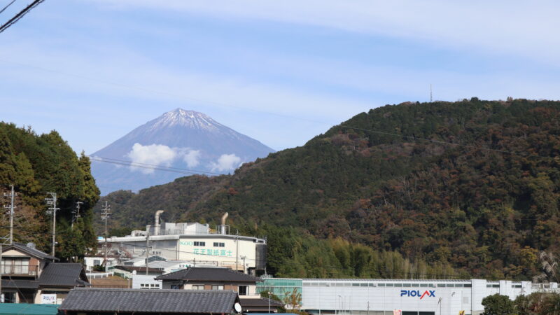 静岡移住富士川キウイマラソン