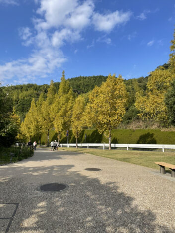 グルメフェスに行ってきました＠藤枝総合運動公園