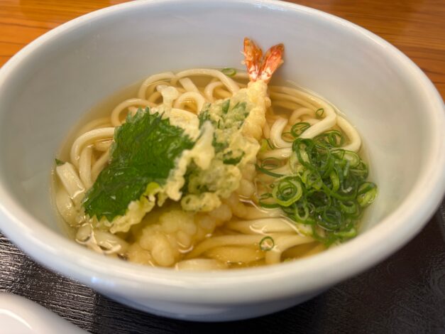 【樹木のヒトリゴト】飛騨高山で海老天かけうどん