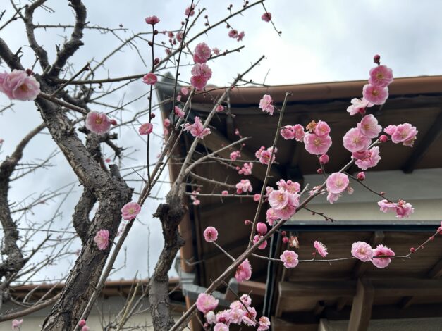 2026年3月15日(日)リフォーム相談会in藤枝 開催します【山本ブログ】