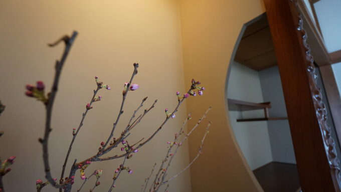 代々受け継がれている築50年の家　お引渡し【山本ブログ】