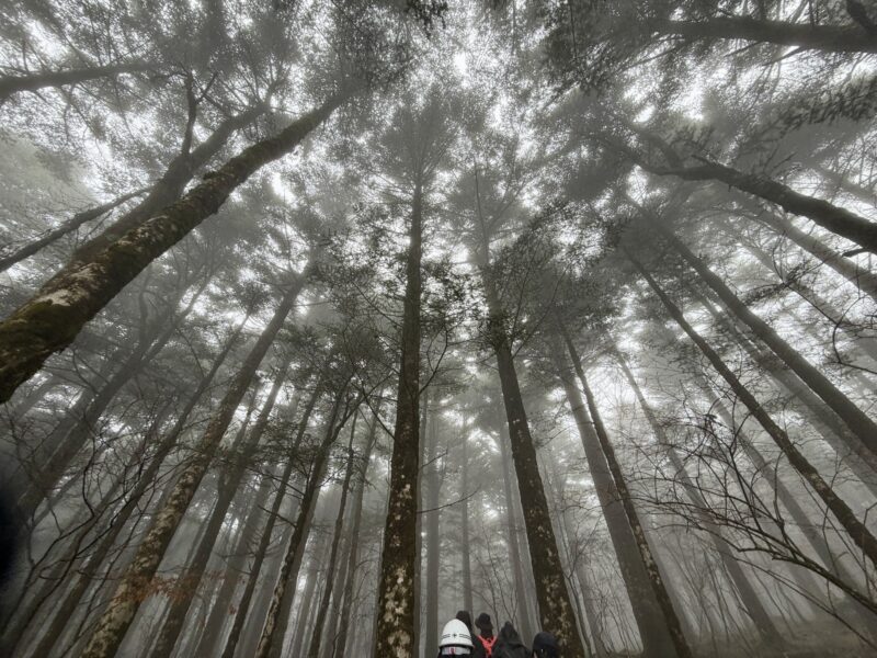 企業研修森の中の事業計画入社式リビングディー