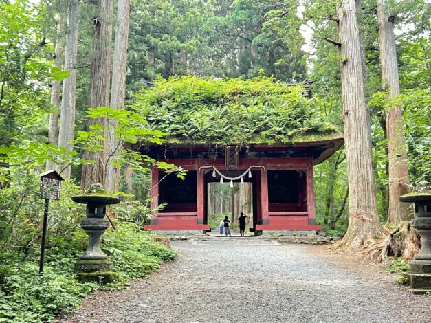 日々のこと　戸隠神社５社巡り③　【山本ブログ】